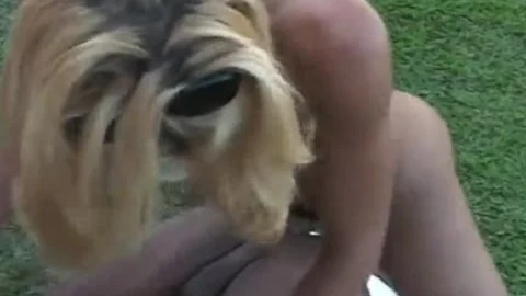Two homo dudes And ladyboy Lisa Lawer outside plowing Each Others wazoo Holes