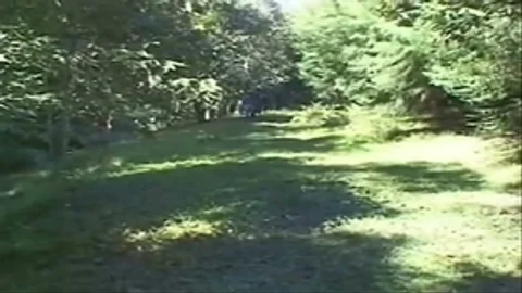 pokeing threesome In A Forest