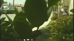 Redhead Twhore Bonking A boy