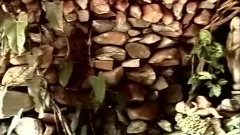 SECRETS OF SAO PAULO 4 - Scene 5