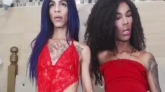 black tranny Monstercock receives Sucked