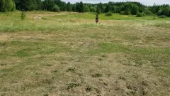 ass Games Undressing On Nature.