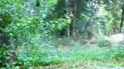 Outdoor Interracial For busty Sthis manmale
