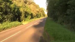 Joanna Dans Les Bois