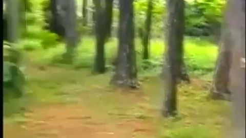 Outdoor rimming & ass plowing