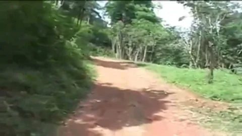Outdoor Sex For your enjoyment