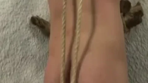 lad Dominated By ladyboys
