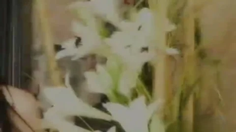 So naughty this babemale Likes Sex