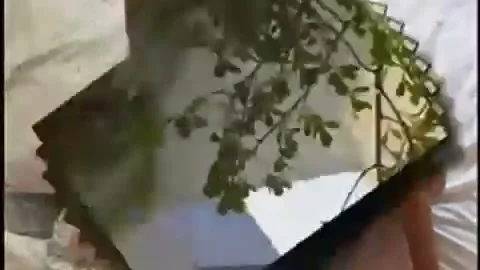 skankty shemale hammering