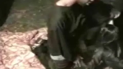 Ashley First Vid