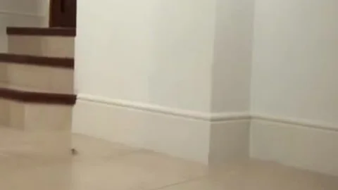 MILF gets A banging From A ladyman Rm450