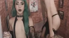 Two trannies Having enjoyment With Each Other