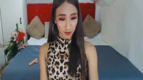 'Skinny nice-looking tgirl amazing Camshow'