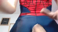 SpiderTrans