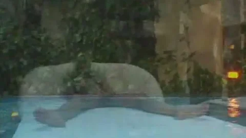 blonde tranny gets plowed Hard By The Pool
