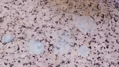 large anal Ts Nicolly Pantoja Masturbates