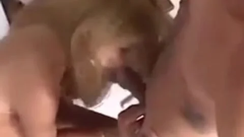 blonde t-girl plowing With Each Other