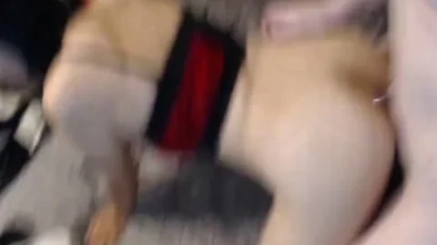 French shemales plow Like lovely Dogs
