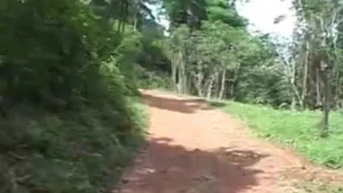Sex In The Forest - Eros Media