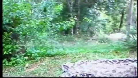 Outdoor Sex For busty Sthis guymale