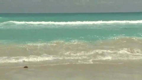VenyveraS1.mp4