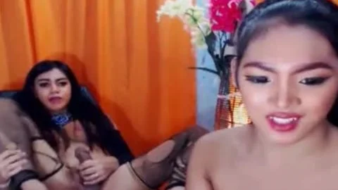 Two attractive oriental ladyboy Jerks And poke
