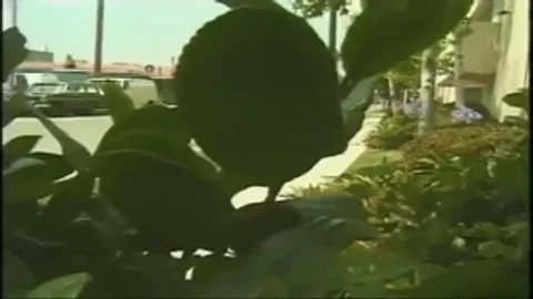Redhead Twhore Bonking A boy