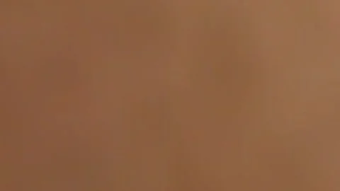 busty Ts latin chick gets Pumped nice
