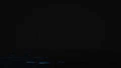 Invasion