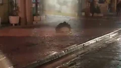this babemale plowing In bathroomtub
