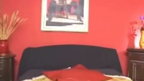 lovely tranny And girl Share One bed