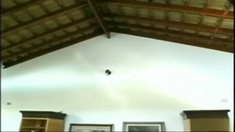 transsexual Having pleasure With black dude
