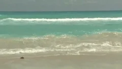 VenyveraS1.mp4