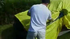 In The Garden