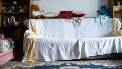 Maggy With Robert In Hidden cam