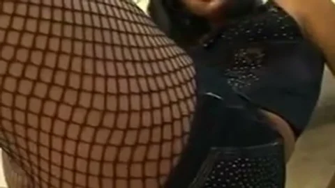 Pantyhouse dark brown Latine Brazil