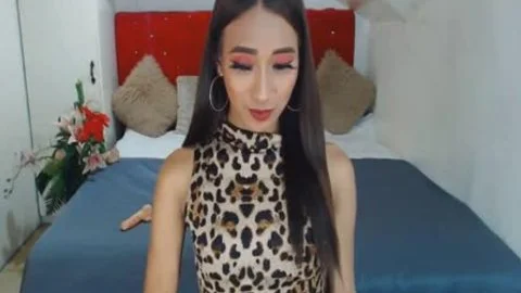 'Skinny oriental ladyboy excellent Camshow'