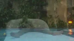 busty blonde shemale booty plowed By The Pool