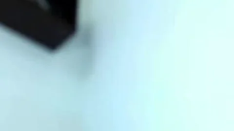 Monstercock Trans cam