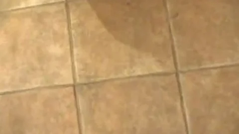 Patricia Mark Stripping For The Camera