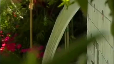 sheboy Outdoor Mutual fuck