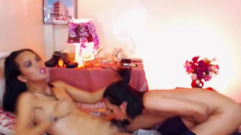 Two ladyboy Slurping Each Other Hard wang