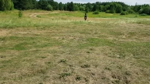 ass Games Undressing On Nature.