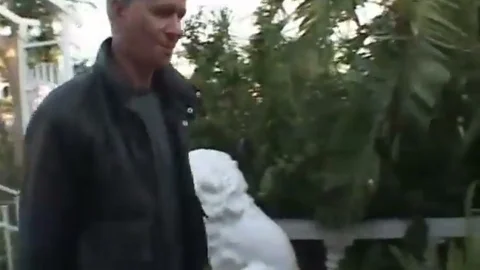 she Males Back Door 2 - Scene 1