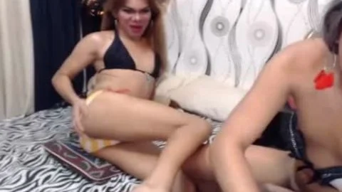 Two lusty ladyboy Pleasures ramrod And pooper