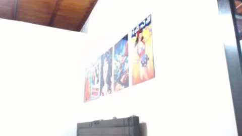JHGE web camera Show
