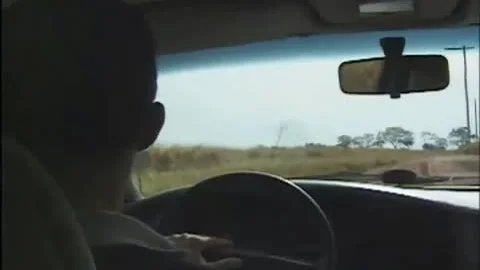 Karen bonks In The Trunk