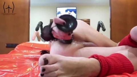 Floozyjezebelle butthole Adventures An A hooker Albuem V