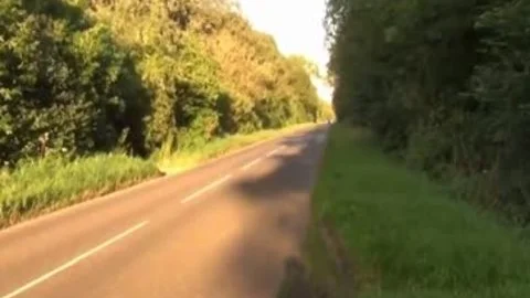 Joanna Dans Les Bois