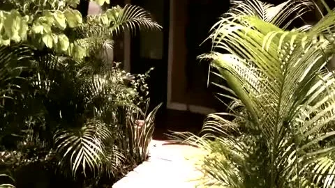 lusty Bride Has A humongous Secret (HD)